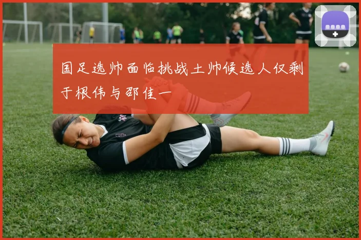 国足选帅面临挑战土帅候选人仅剩于根伟与邵佳一