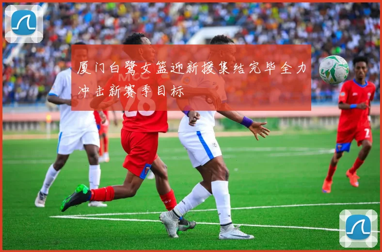 厦门白鹭女篮迎新援集结完毕全力冲击新赛季目标