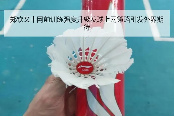 郑钦文中网前训练强度升级发球上网策略引发外界期待 | YaboSports